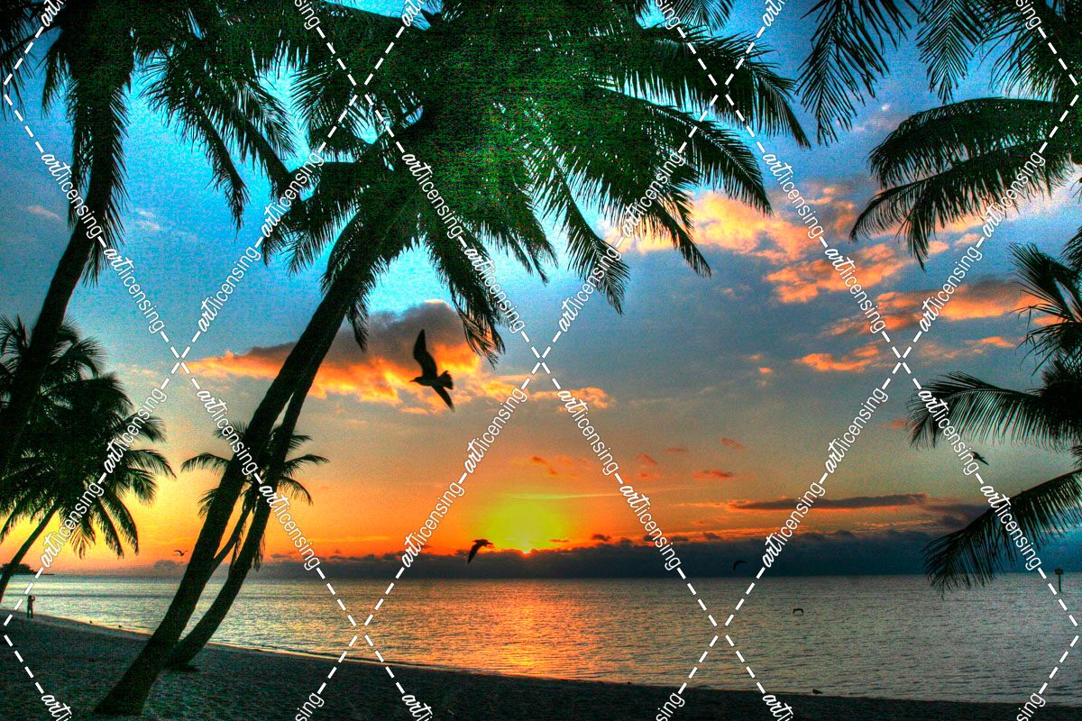 Key West Sunrise VII