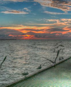 Key West Sunrise Gulls and Pier