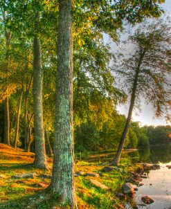 Lakeside Vertical