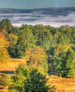 Misty Shawangunk View