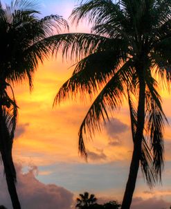 Key West Two Palm Sunrise