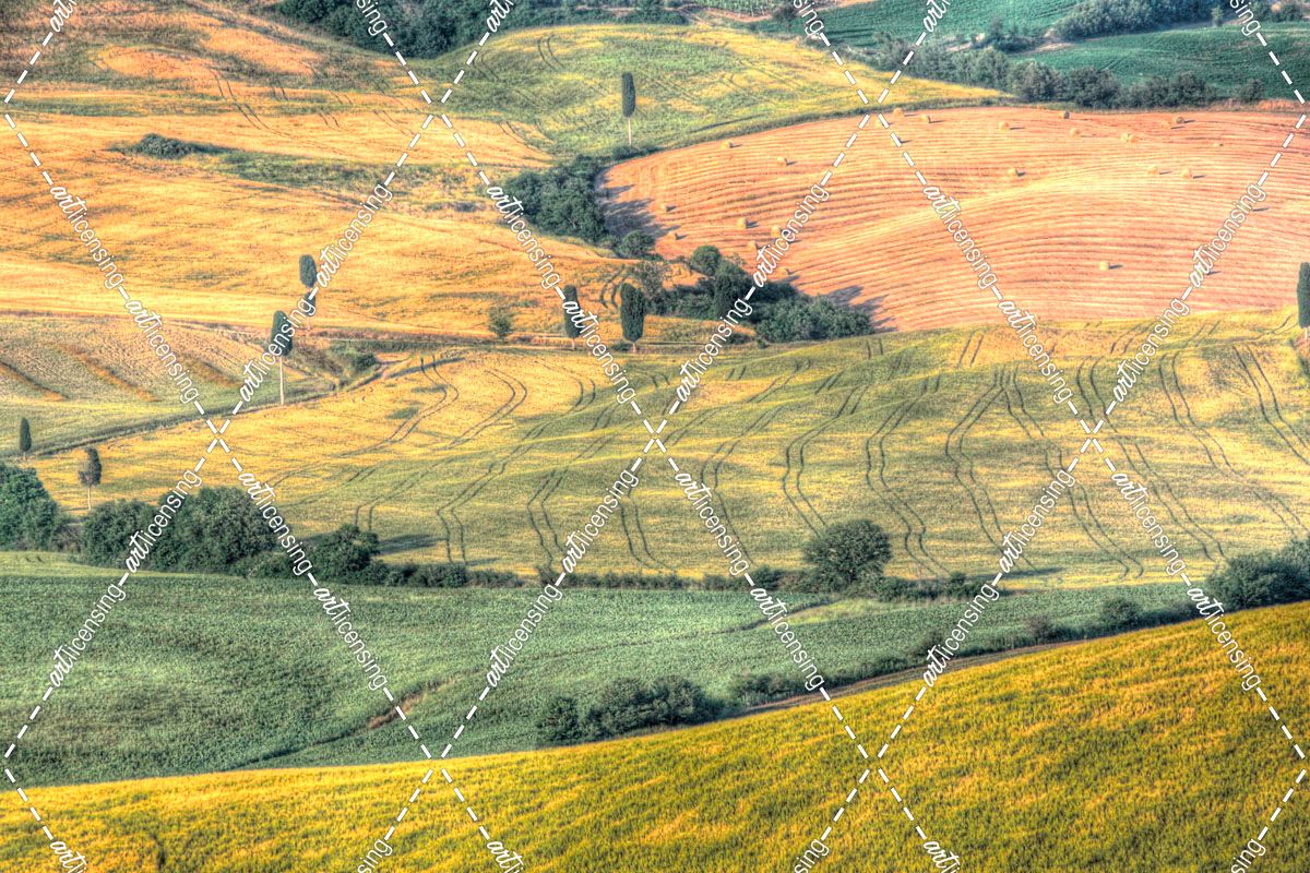 Tuscan Field Patterns