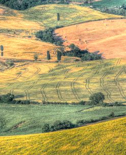 Tuscan Field Patterns
