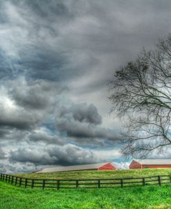 Paddock Storm