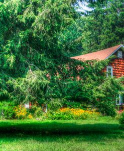 Pine Tree and Cottages