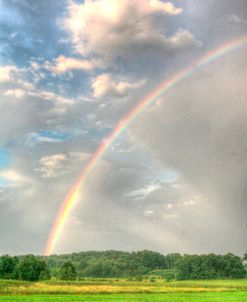 Rainbow Vertical