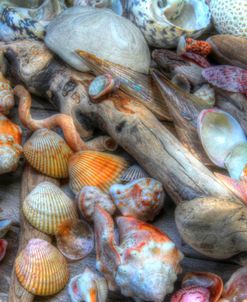 Shells II