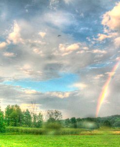 Rainbow and Heron