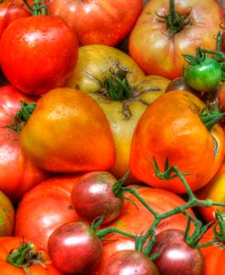 Tomatoes 2015