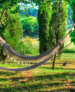 Tuscan Hammocks and Cat