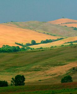 Tuscan Hill I