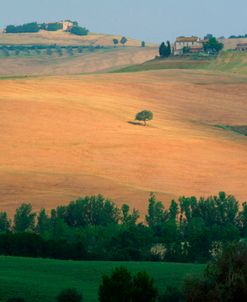 Tuscan Hill II