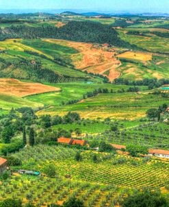 Tuscan Grand View