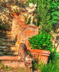 Tuscan Vertical Cat on Stairs