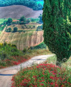 Tuscan Red Flower Road
