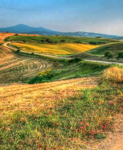 Tuscan Ridge Top Trail