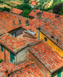 Tuscan Roofs