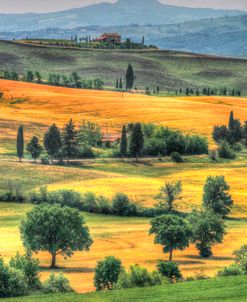 Tuscan Vertical Switchbacks