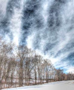 Winter Treeline