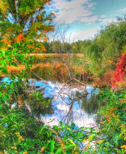 Autumn Pond