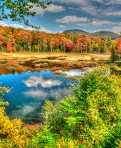 Adirondack Pond