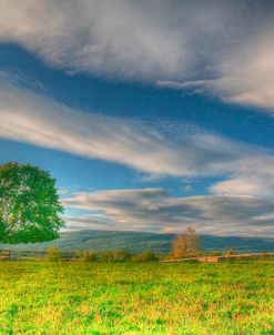 Big Sky Paddock