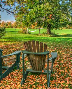 Barnyard Chairs