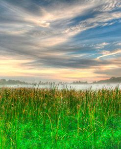 Cattails And Sky