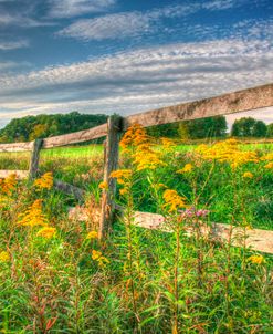 Denniston Lane Fence