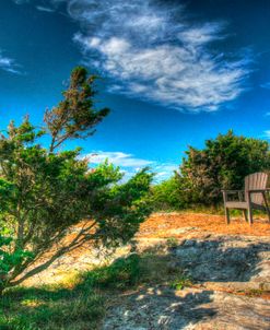 Chairs And Windblown Tree