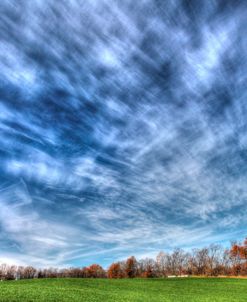 Field And Sky Autumn