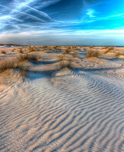 Dune Lines Vertical