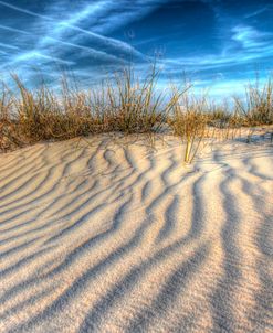 Dune Lines