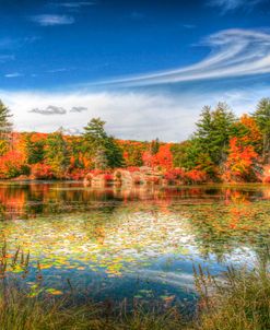 Harriman Pond