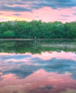 Heron And Mangroves