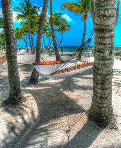 Higgs Beach Hammock.