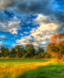 Late Summer Light