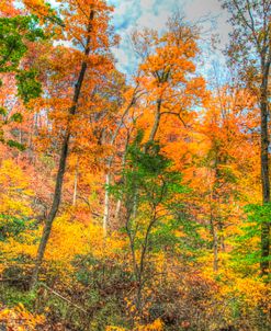 Inwood Park Horizontal