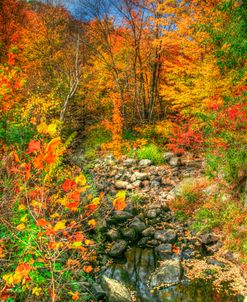 Low Water Brook Autumn