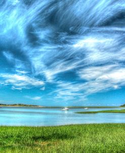 Outside Wellfleet