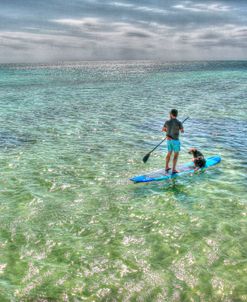 Paddle Board Pups