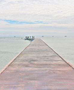 Pier And Shrimper Fleet