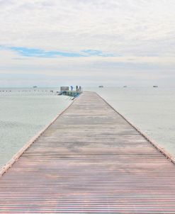 Pier And Shrimper Fleet