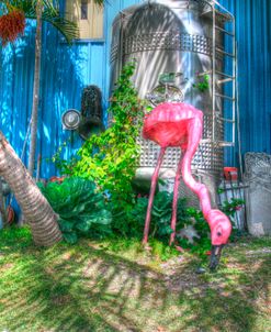 Pink Flamingo