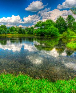 Summer Pond