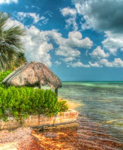 Thatched Roof