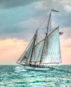 The Appledore