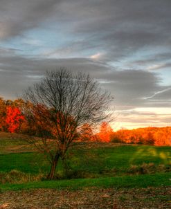 The Neighbor’s Barn Sunset