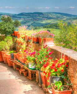 Tuscan Garden View