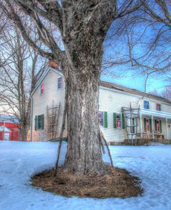 Winter Farm